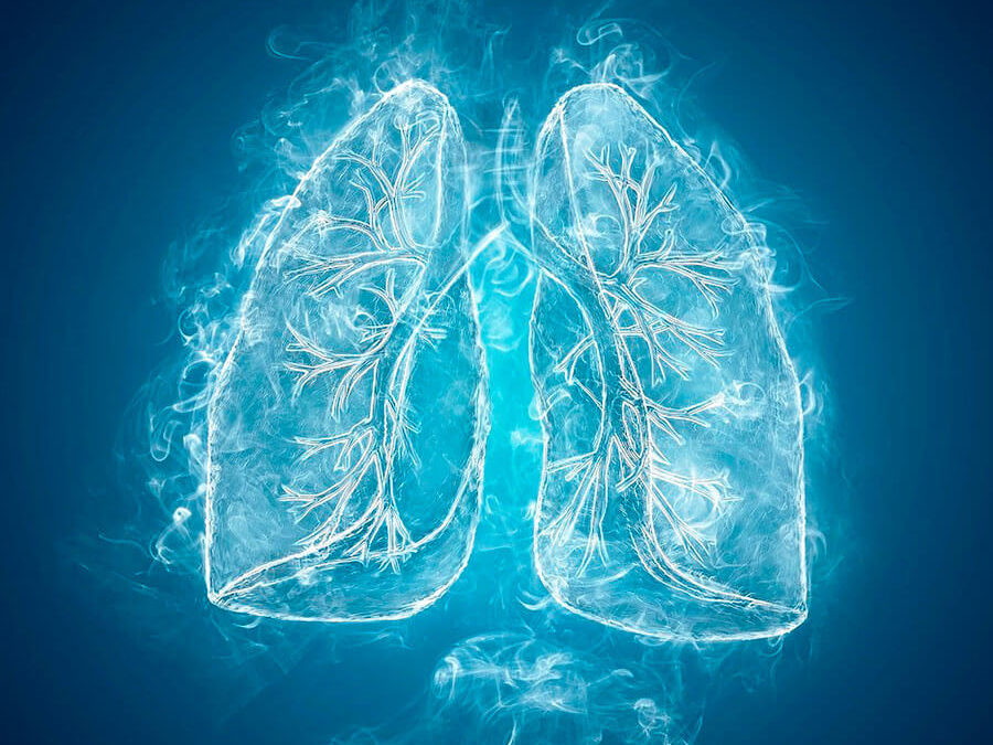 pulmones y el humo