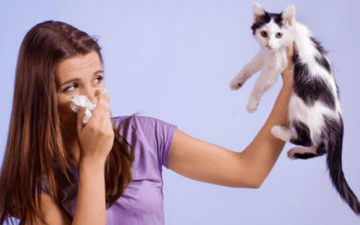 Asma Alérgica: El tipo más común de asma